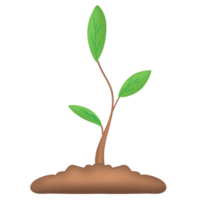 Small sapling icon png