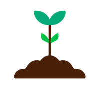 AI generated planting tree seedlings png