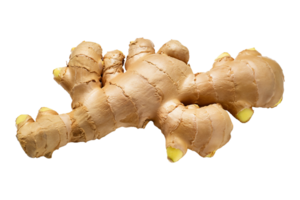 AI generated Ginger is isolated in a transparent background. Ginger PNG