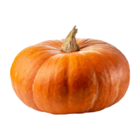 AI generated A Pumpkin is isolated in a transparent background. Pumpkin PNG