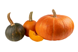 AI generated Pumpkins are isolated in a transparent background. Pumpkin PNG