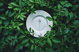 AI generated white oval circle in the middle of green leaves photo