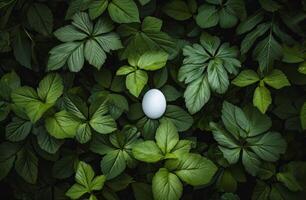AI generated white oval circle in the middle of green leaves photo