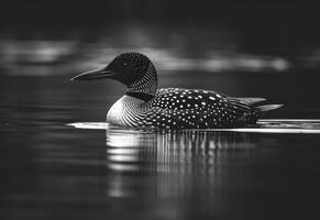 AI generated a brown loon is floating on a body of water photo