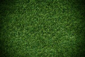 Green grass texture background grass garden concept used for making green background football pitch, Grass Golf, green lawn pattern textured background. photo