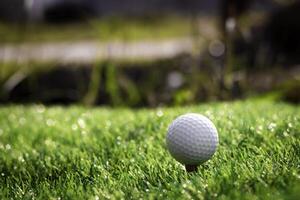 golf pelota cerca arriba en tee césped en borroso hermosa paisaje de golf antecedentes. concepto internacional deporte ese confiar en precisión habilidades para salud relajación foto