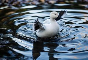 AI generated a white duck in water with its wings spread photo