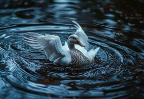 ai generado un blanco Pato en agua con sus alas untado foto