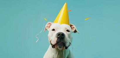 ai generado un blanco perro vestido arriba en un amarillo fiesta sombrero foto