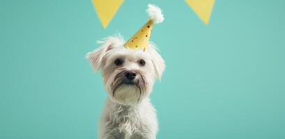 AI generated a white dog dressed up in a yellow party hat photo