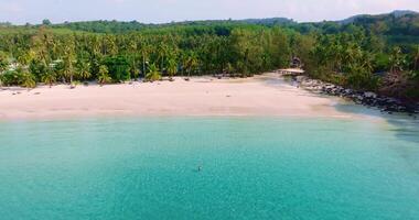 Aerial drone view of the tropical beach with clear turquoise sea, white sand and palm tree video