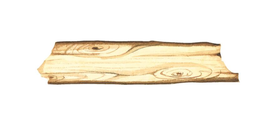 Wooden slice illustration. Wooden signboard. Tree trunk cross section. Hand painted wooden texture board. Tree rings. Rustic natural eco design for wedding, cards, invitations. Watercolor style.