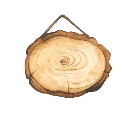 Wooden signboard. Tree trunk cross section. Hand painted wooden texture board. Tree rings. Rustic natural eco design for wedding, cards, invitations. Watercolor style.