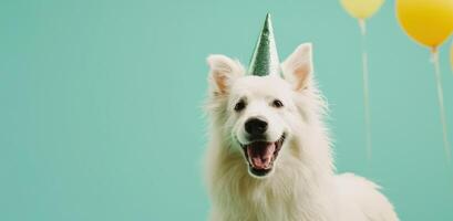 AI generated a white dog dressed up in a yellow party hat photo