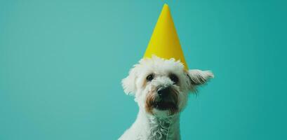AI generated a white dog dressed up in a yellow party hat photo
