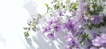 ai generado un blanco antecedentes con imágenes de flores en parte superior foto