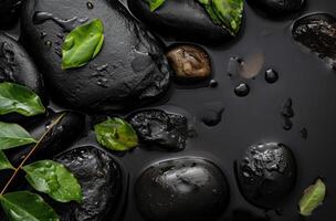 ai generado un negro antecedentes con rocas y hojas con agua en ellos foto