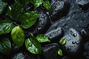 ai generado un negro antecedentes con rocas y hojas con agua en ellos foto
