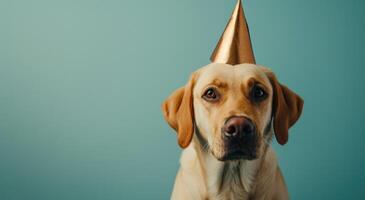 AI generated a dog in a party hat is blowing a whistle photo