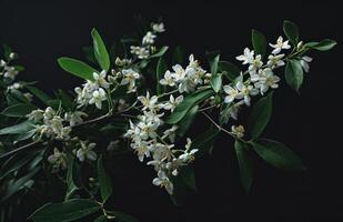 ai generado blanco flor y hojas en un florero foto