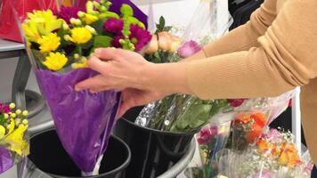 avvicinamento di femmina mani la scelta un' mazzo di fiori nel un' negozio. fiore preparativi per un' festivo umore. selezione di un' mazzo di luminosa giallo crisantemi. video