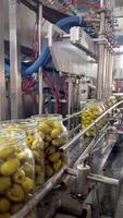 avvicinamento di un' trasportatore cintura nel movimento durante il produzione e Riempimento di verde olive in lattine. produzione e imbottigliamento di verdure nel bicchiere barattoli. olive su il confezione linea. cibo industria. video