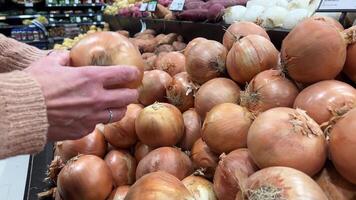 de cerca de cebollas en un Tienda encimera. mujer en un supermercado elige cebollas para cocinando. video