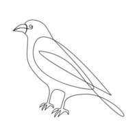 Vector crow drawing in one continuous line isolated on white background illustration minimal