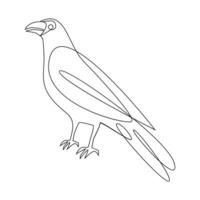 Vector crow drawing in one continuous line isolated on white background illustration minimal