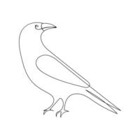 Vector crow drawing in one continuous line isolated on white background illustration minimal
