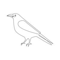 Vector crow drawing in one continuous line isolated on white background illustration minimal