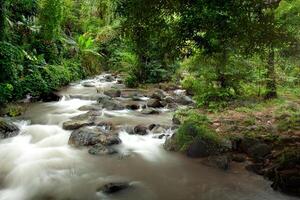 Flowing stream with rocks in the water amidst nature in Nakhon Nayok, Thailand photo