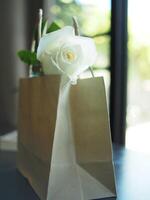 white rose on table book and blur background  rose gift photo