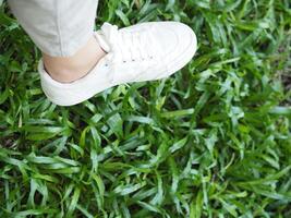 blanco lona Zapatos en verde y de madera fondo clásico estilo fácil y suave vida estilo foto