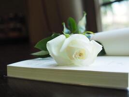 blanco Rosa en mesa libro y difuminar antecedentes Rosa regalo foto