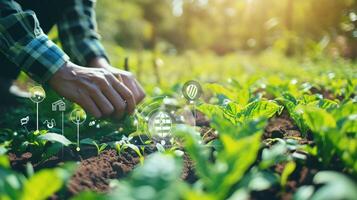 AI generated technology in farming, Precision farming system uses artificial intelligence to optimize crop yields photo