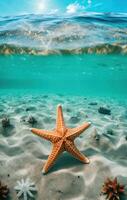 AI generated starfish in a clear turquoise sea that is bordered photo