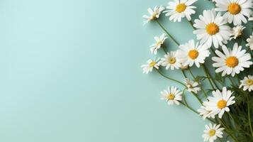 AI generated chamomile flower on pastel background with copy space photo