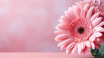 AI generated gerbera flower on pastel background with copy space photo