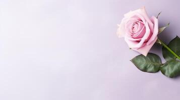 ai generado Rosa flor en pastel antecedentes con Copiar espacio foto