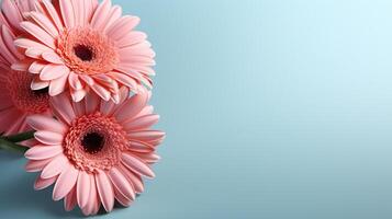 AI generated gerbera flower on pastel background with copy space photo