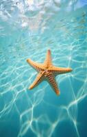 AI generated starfish on the ocean in wallpaper, photo
