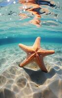 ai generado estrella de mar en el Oceano en fondo de pantalla, foto