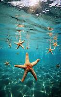 ai generado estrella de mar en el Oceano en fondo de pantalla, foto