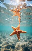 AI generated starfish on the ocean in wallpaper, photo