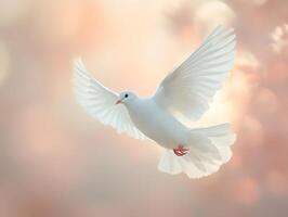 AI generated White dove of peace professional color grading with soft shadows on a light background. High quality. AI Generative photo