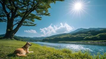 ai generado un relajado contento perro en el césped cerca el río debajo el Dom. verano tiempo. alto calidad. ai generativo foto