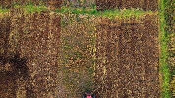 moderne tracteur machinerie labour des champs dans printemps cultiver. agriculteur cultiver, faire sol labour avant ensemencement les plantes dans le campagne. video