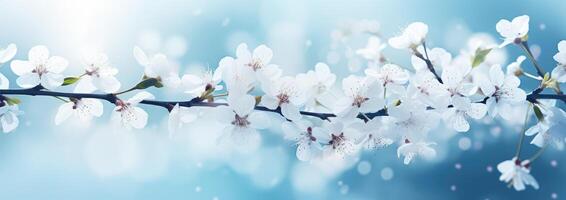 AI generated abstract bokeh background blue cloud in spring photo