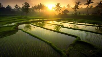 AI generated ricefields with intense light green color in the sunrise, neural network generated photorealistic image photo